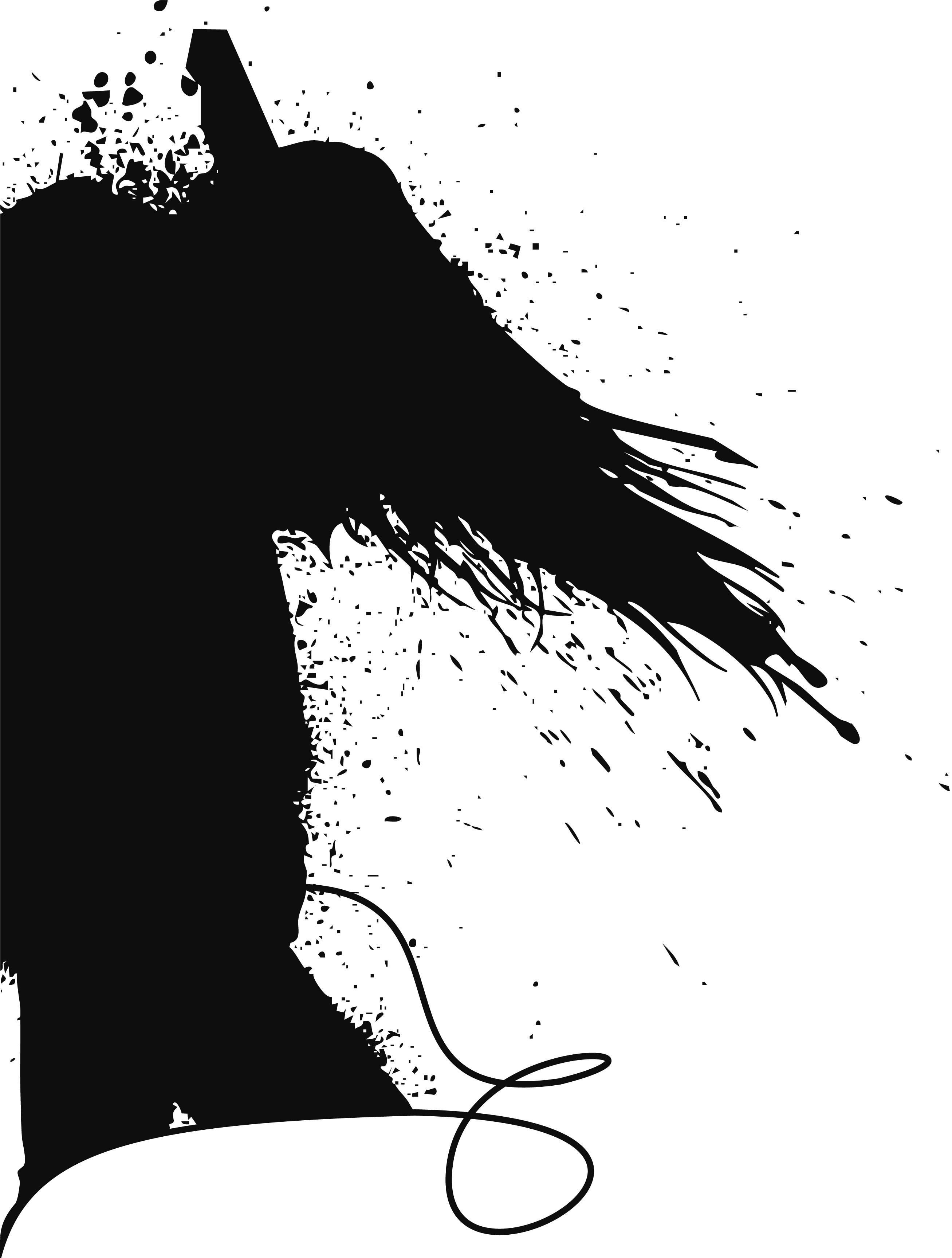 Silhouette 2